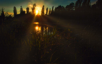 Abend auf dem See / ***