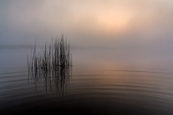 Mystic of the mist / ***
