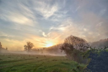 Nebliger Morgen / ***