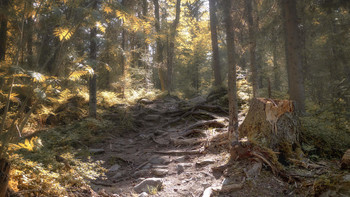 Mountain Trail / ***