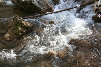 Crimean sketch / ***