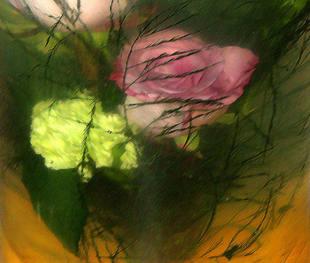 in water / ***