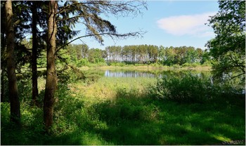 In summer / [img]https://i.imgur.com/qZ6xTOK.jpg[/img][img]https://i.imgur.com/kpZJeUZ.jpg[/img]