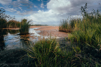 After the rain / ***
