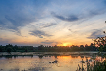 &nbsp; / -----------