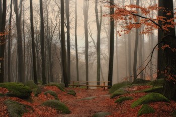 Natur / Natur