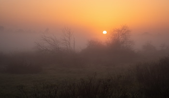 Every sunrise brings a new day / 2019