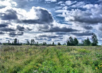 Road to clouds / ***