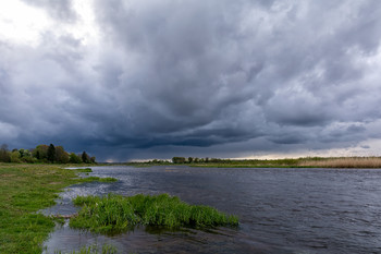Before the storm / ***