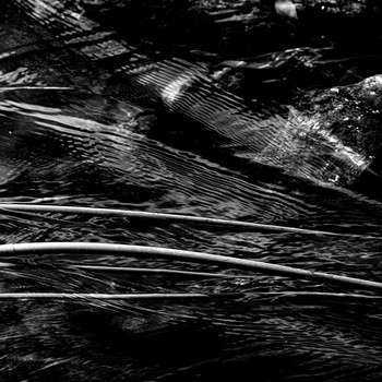 Strings / ***