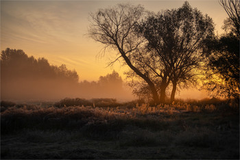 At dawn / ***