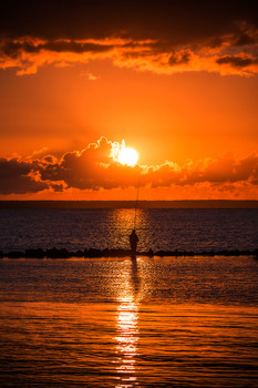 in the sun / ***