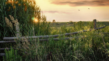 Am Ortsrand / ***