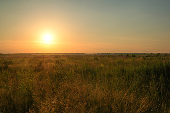 Sunset / ***