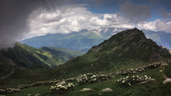 The mountain valley / ***