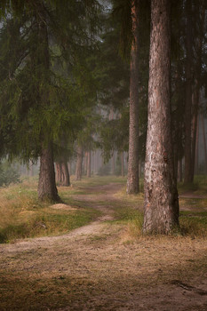 Midsummer / ***