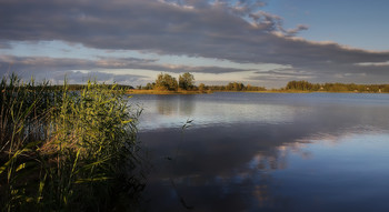 Evening / ***