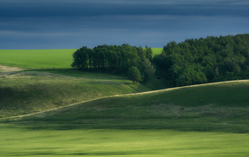 Contrasts ... / ***