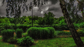 Before the storm / ***