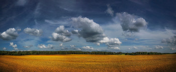 About Cloud / ***