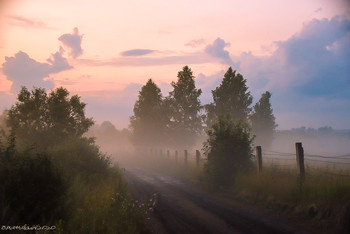 Nach dem Regen / ...