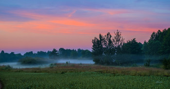 Cold morning. / ***