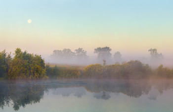 Cold morning / ***