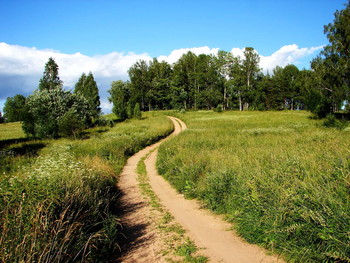 Country road / ***