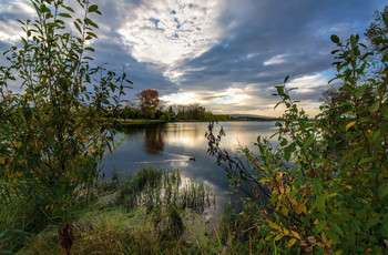 Abendspaziergang / ***