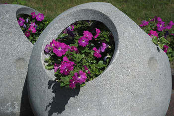 City Flowers / ***