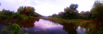 Forest Lake / ***