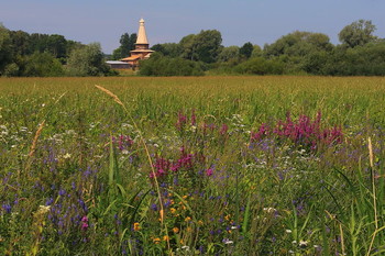 Summer walk / ***