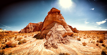 In The Desert / ***