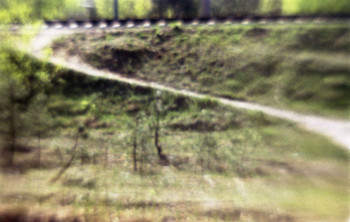 Morning Walk / ,/j