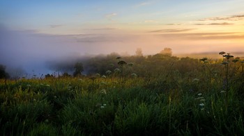 The morning of a new day / ***