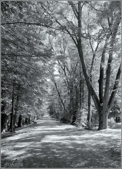 Landschaft / [img]https://i.imgur.com/MCLnRqH.jpg[/img]