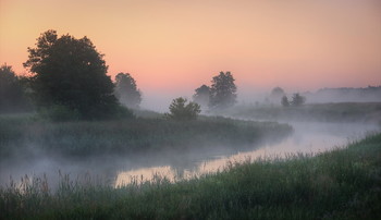 Foggy morning / ***