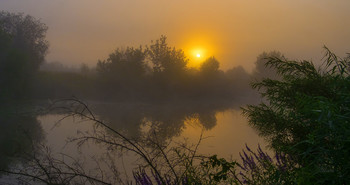 Morning fog. / ***