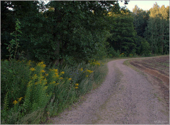 &nbsp; / [img]https://i.imgur.com/mmkdbH2.jpg[/img]