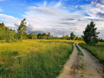 Evening road / ***