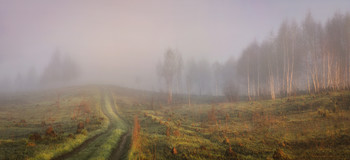 in the morning mist / ***