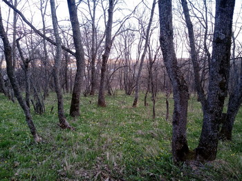 Spring 2 / ***