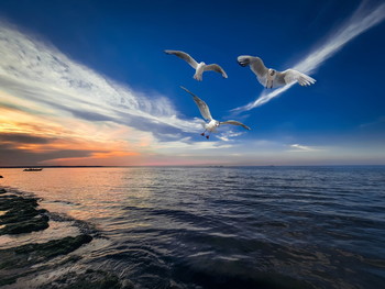 On the Sunset... / At sunset, Black Sea, July 2020