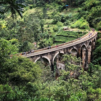 Srilanka / Ceylon