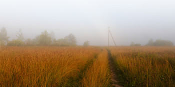 Morgennebel / ***