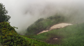 Foggy Hollow / ***