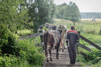 Im Morgengrauen / ***