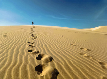 Barefoot / ***