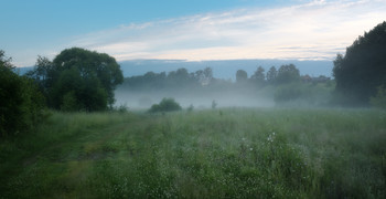 Morning Walk / ...