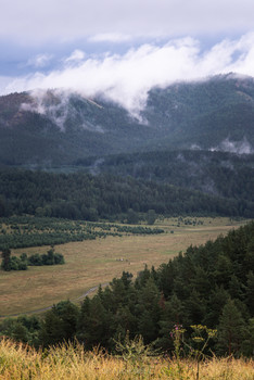 Morning in the mountains / ***